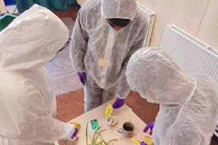BTEC Forensics Crime Scene